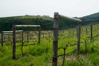 Weinberge Quoin Rock, Stellenbosch, Südafrika