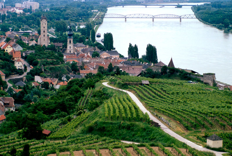 Österreich, Krems-Und, Weinberge, donau