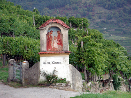 Österreich, Wachau, Weißenkirchen, Ried Klaus