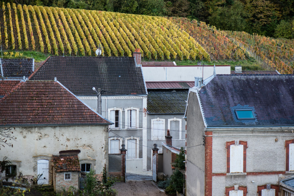 Frankreich, Champagne, Verzenay