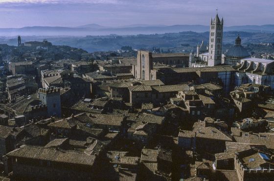 Siena bei Sonnenaufgang, Dom, Toskana, Italien