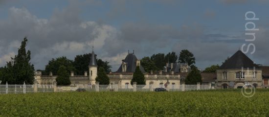 Château Marojallia, Weinberge, Margaux, Frankreich