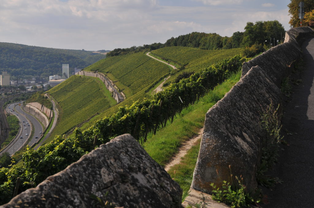 Deutschland, Franken, Würzburg, Weinberge Würzburger Stein