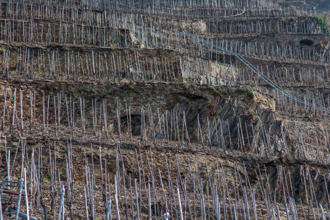 Deutschland, Mosel, Winningen, Winninger Uhlen (2016)