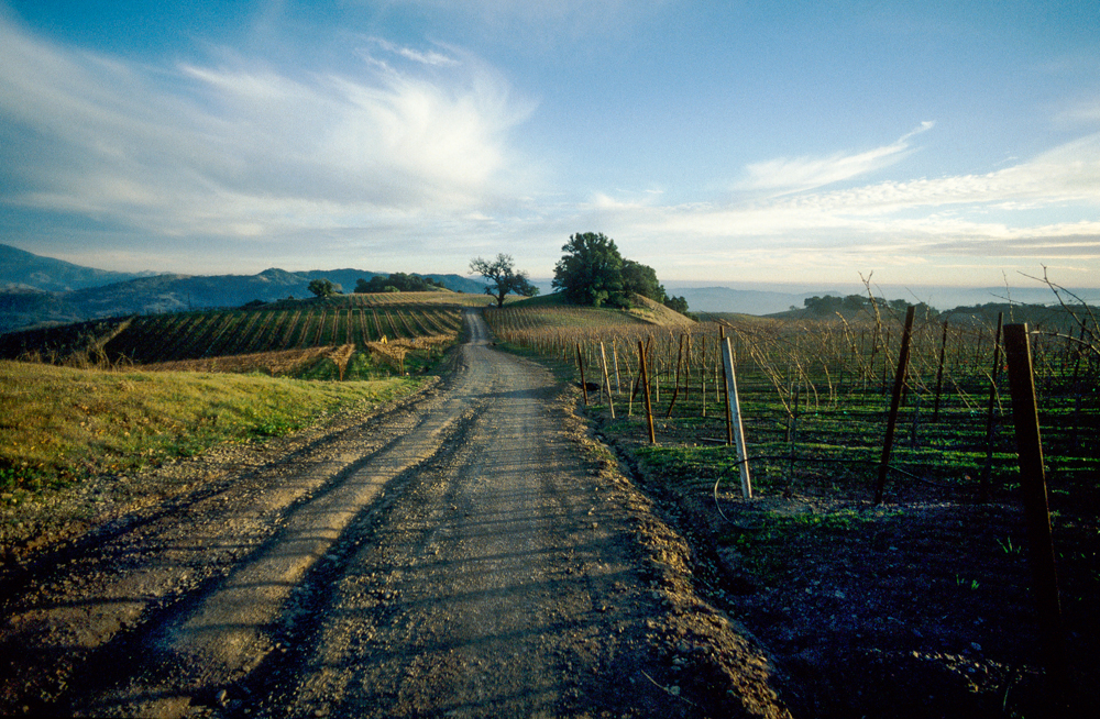 USA, Kalifornien, Sonoma, Alexander Valley (1999)