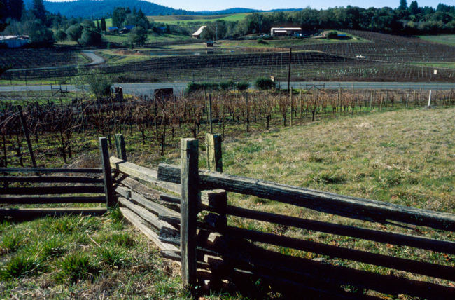 USA, Kalifornien, Anderson Valley (1999)