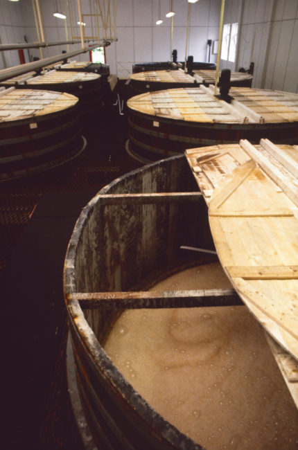 Großbritannien, Schottland, Speyside, Glen Grant Distillery, Maischebottiche (1987)