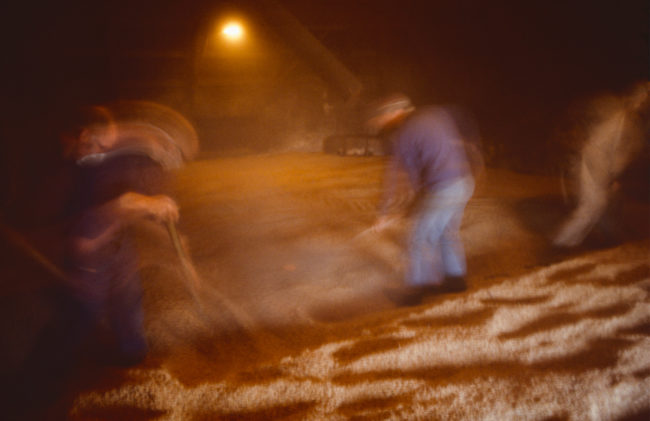 Großbritannien, Schottland, Islay, Laphroaig Distillery Arbeit auf der Darre (1987)