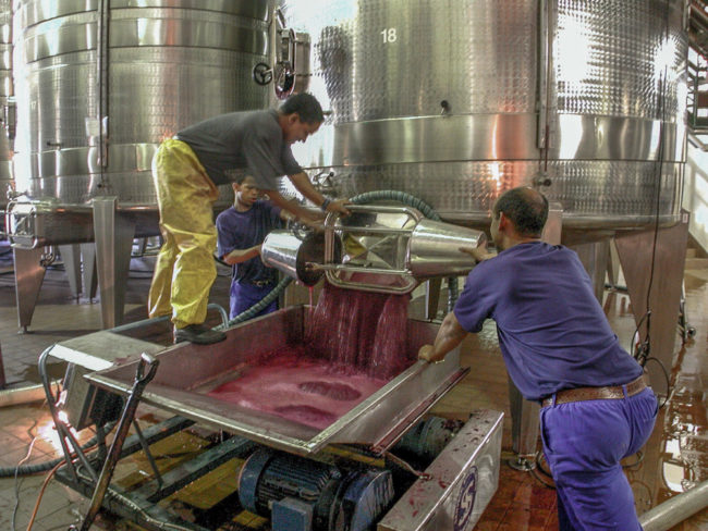 Südafrika, Western Cape, Paarl, Plaisir de Merle Winery (2001)