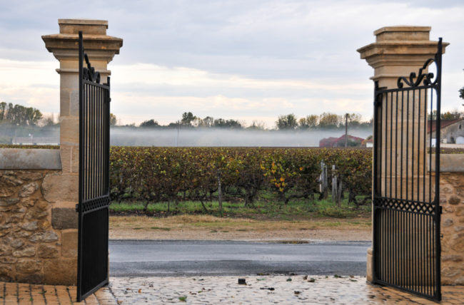 Frankreich, Gironde, Sauternes Château Haut Bergeron (2011)