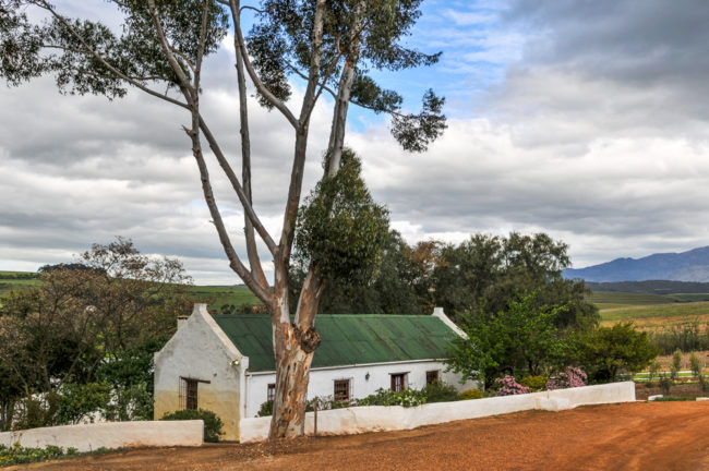 Südafrika, Bot Rivier, Walker Bay, Beaumont Winery - (2012)