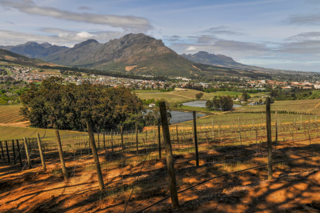 Südafrika, Stellenbosch, Glenelly Winery und Stellenbosch Mountains (2012)