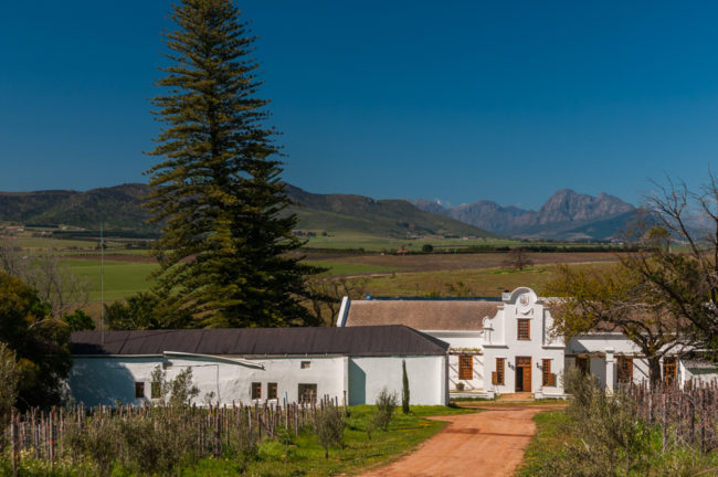 Südafrika, Swartland, Voor Pardeberg, Weingut Scali (2008)
