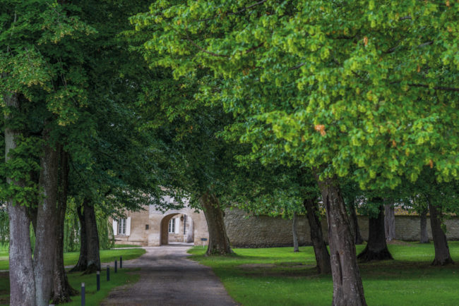 Frankreich, Gironde, Fronsac Château La Dauphine (2016)