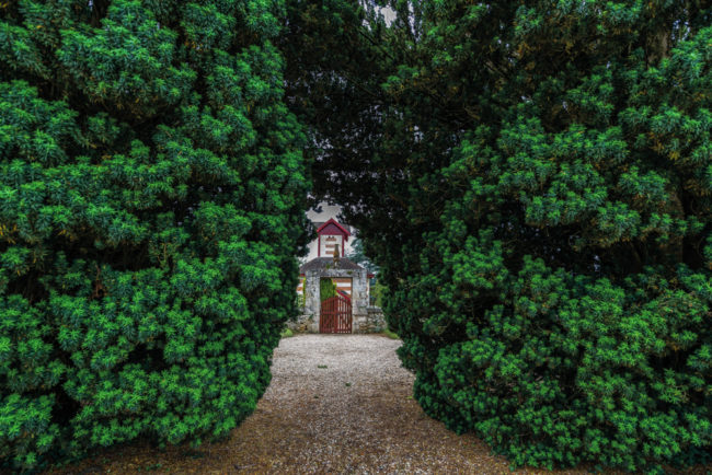 Frankreich, Gironde, Grézillac, Park von Château Bonnet (2016)