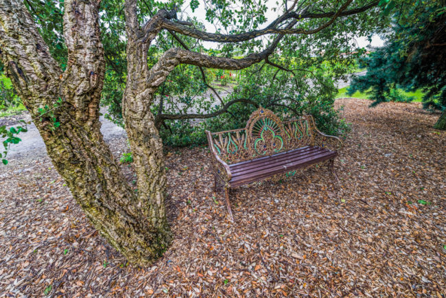 Frankreich, Gironde, Pesssac-Léognan Château Pape Clément, Garten/Park (2016)