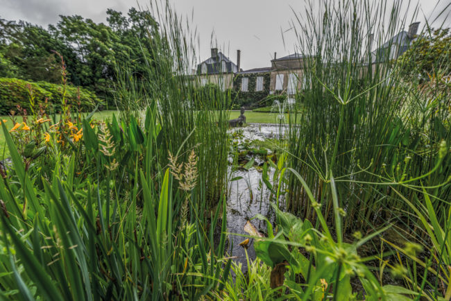 Frankreich, Gironde, Saint-Julien Château Léoville-Barton (2016)