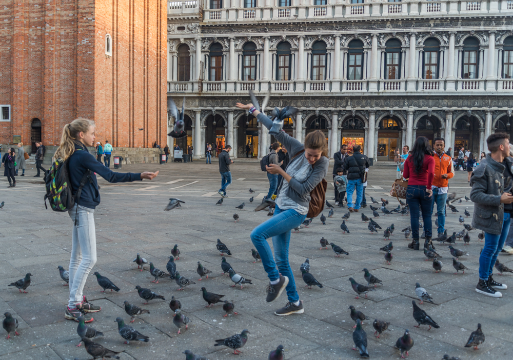 Venedig, Italien, Spiel mit den Tauben auf dem Markusplatz