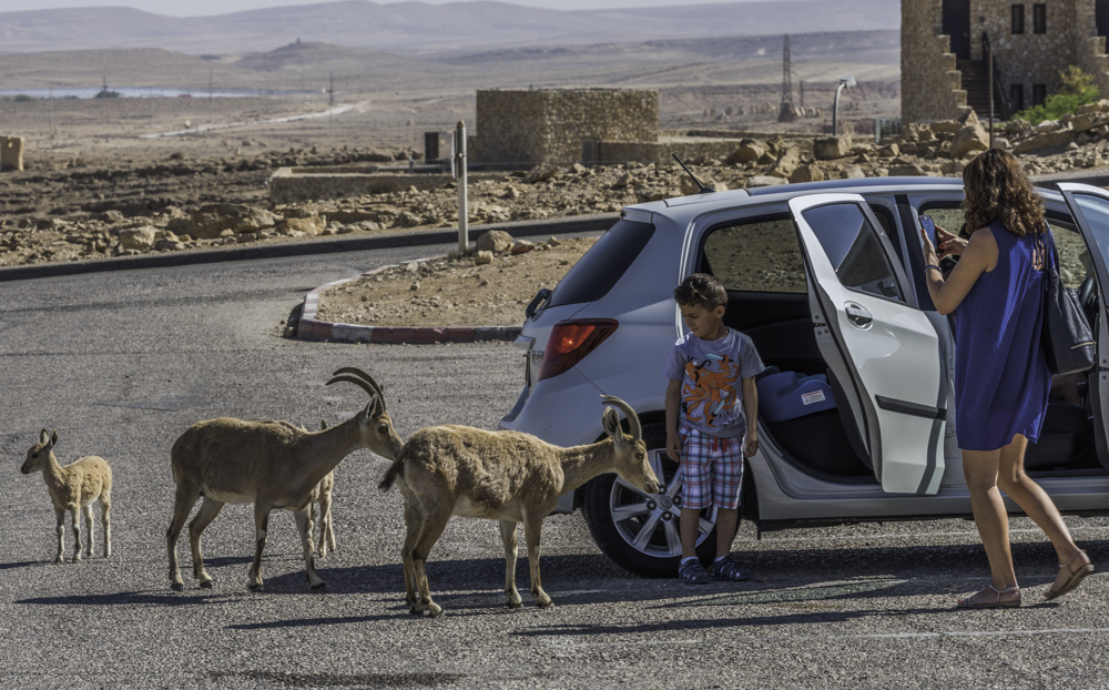 Mitzpe Ramon, Negev, Israel