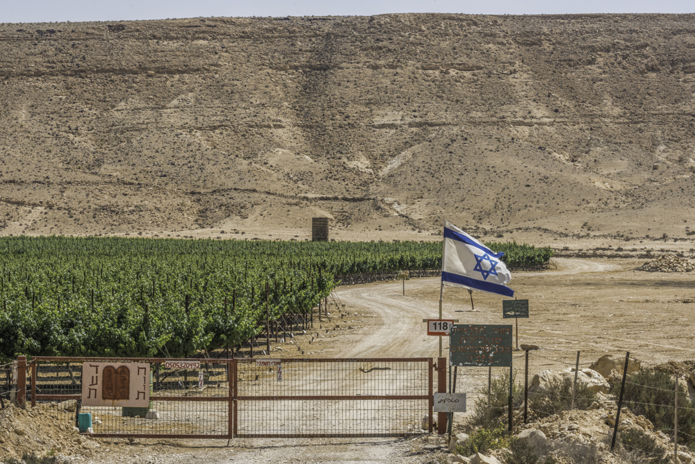 Israel, Weinfelder am Nationalpark Ein Avdat