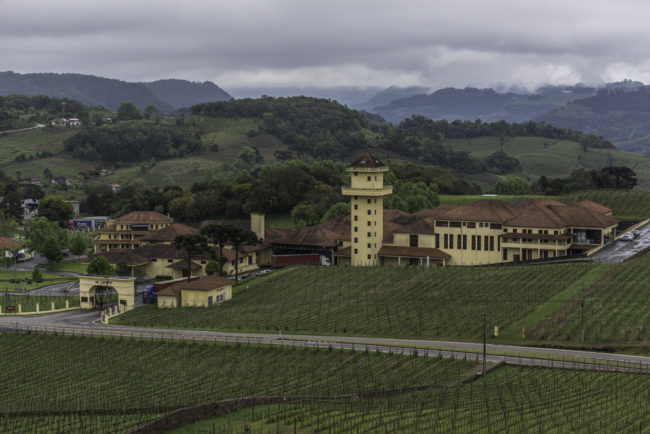 Brasilien, Rio Grande do Sul, Vale dos Vinhedos - Miolo, Gebäude und Weinberge (2013)