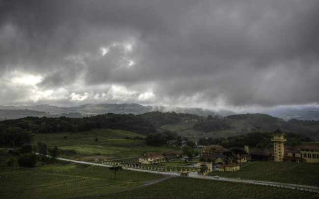 Brasilien, Rio Grande do Sul, Vale dos Vinhedos - Miolo, Gebäude und Weinberge (2013)