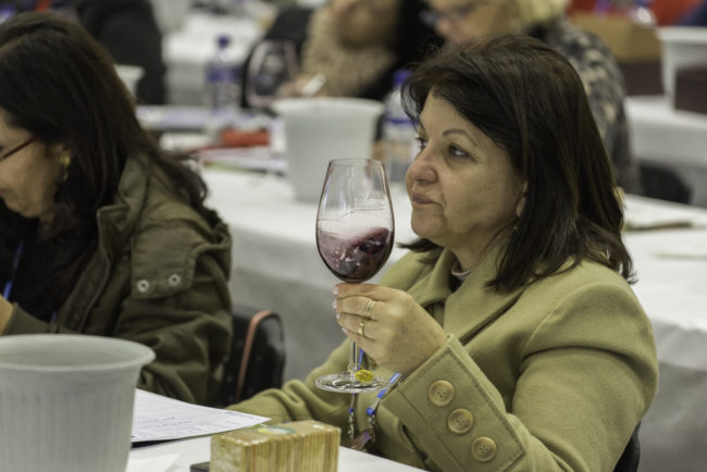 Brasilien, Rio Grande do Sul, Bento Goncalves - - Nationale Weinberwertung des Jahrgangs 2013 der brasilianischen Önologenvereinigung, Verkostung und Zeremoniell (2013)