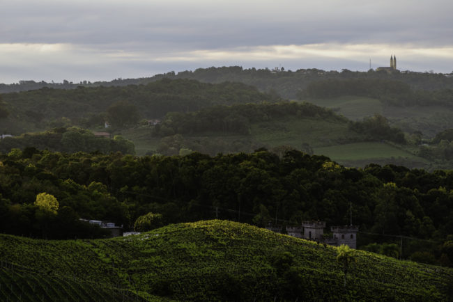 Brasilien, Rio Grande do Sul, Vale dos Vinhedos - Blick auf Vinicola Cave de Pedra und Kirchtürme von Monte Belo (2013)