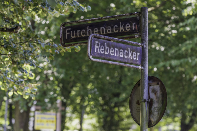 Hamburg, Straßenschilder erinnern an einstigen Weinbau