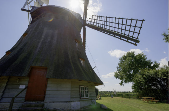 Grebin, Reben von Hof Altmühlen an der Mühle Grebin