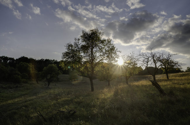 Buckow, Weinbergsweg