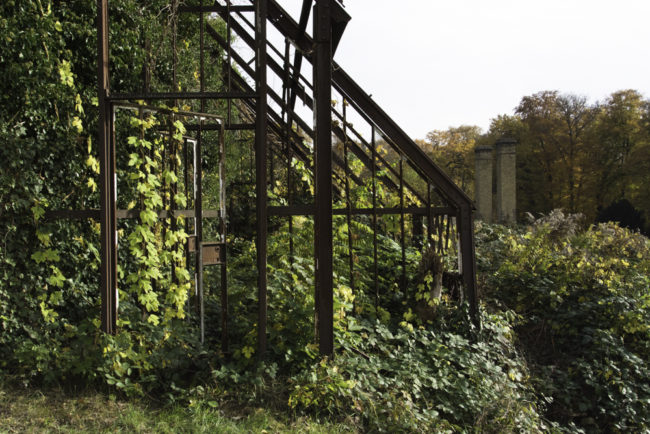 Potsdam, Königlicher Weinberg Park Sanssouci, Reste eines Gewächshauses