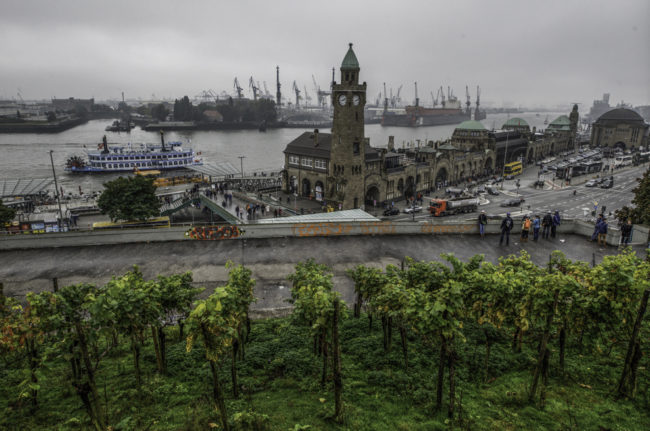 Hamburg, Reben an den Landungsbrücken