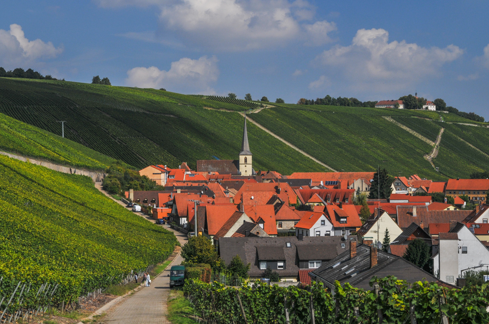 Deutschland, Franken, Escherndorf, Lump