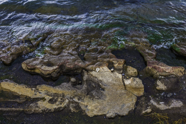 Neuseeland, Taupo, Lake Taupo - (2017)