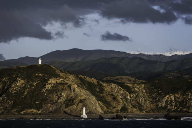 Neuseeland, Wellington, Eastbourne Domain - (2017)