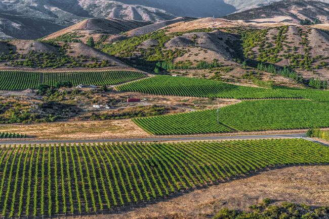Neuseeland, Central Otago, Gibbston Valley Peregrine Wines - (2018)