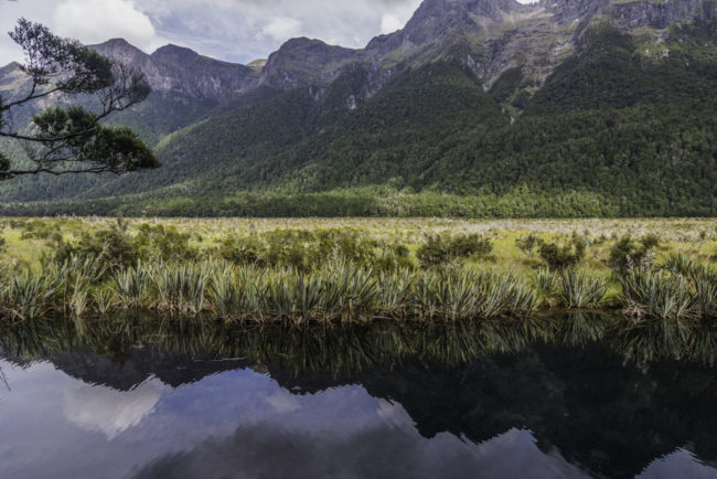 Neuseeland, Otago, Road to Milford Sound, Mirror Lakes - (2018)