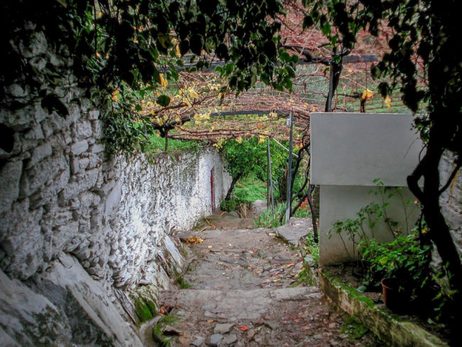 Portugal - Douro - Quinta do Passadouro (2000)