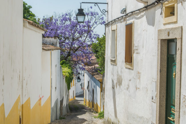 Portugal - Alentejo - Évora (2015)